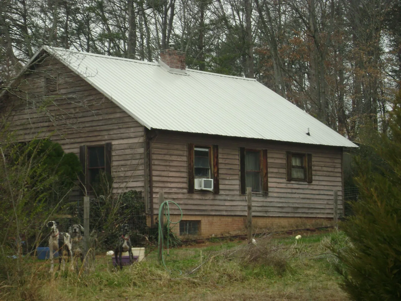 White metal roof on an old wood sided farmhouse, from a Asphalt Shingle Roof Repair job in Port Angeles